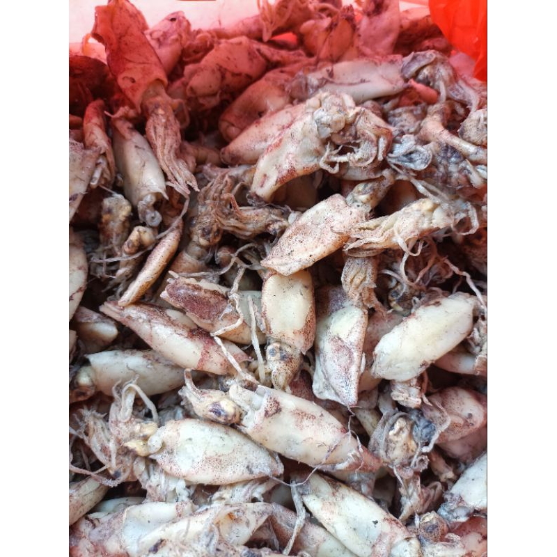 

Baby cumi kering/cumi asin premium/ikan asin kualitas premium