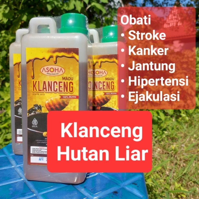 

ASOHA Madu Asli Murni Klanceng Hutan Liar 1kg | Madu Kelulut Hutan Liar | Madu Trigona Hutan Liar