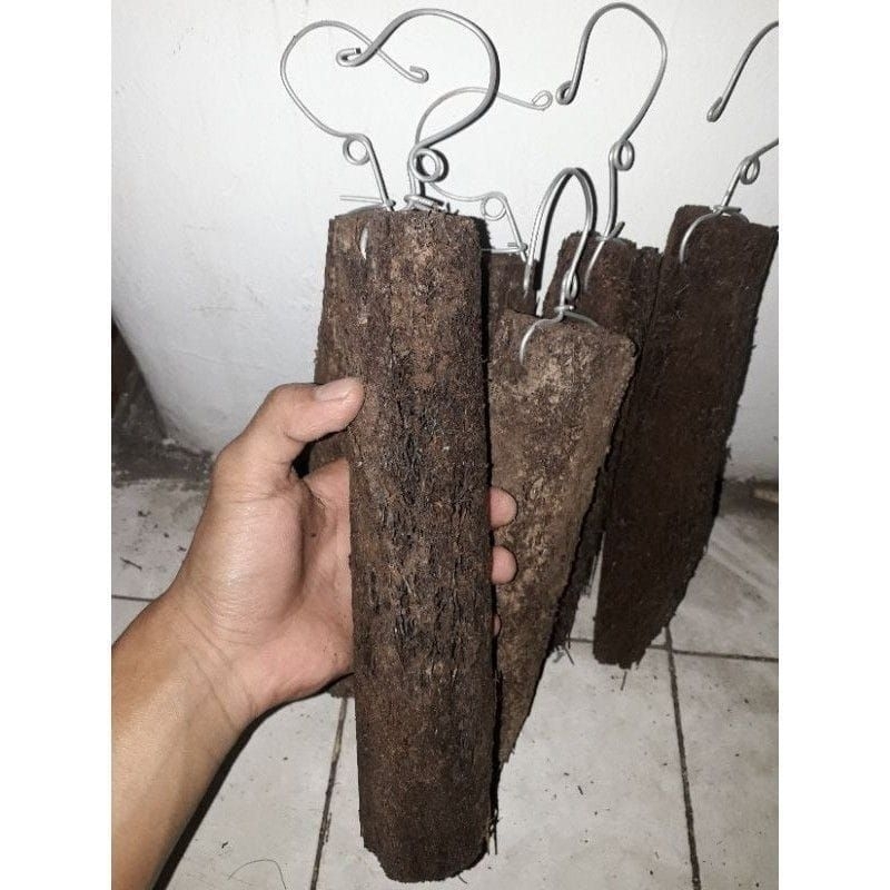 papan pakis bulat isi 5 pcs /papan pakis untuk media gantung anggrek