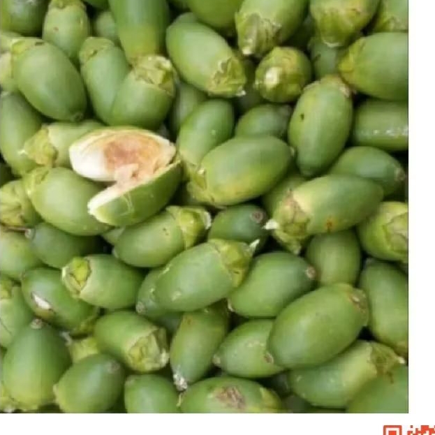 

buah jame muda penambh stamina pria500 grm