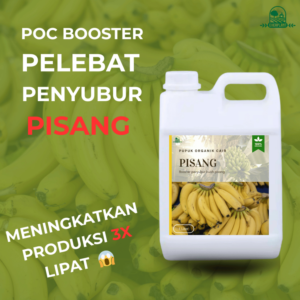 BIOPUPUK Pupuk Organik Cair Pisang | Pupuk Organik Perangsang Pisang Agar Cepat Berbuah Lebat
