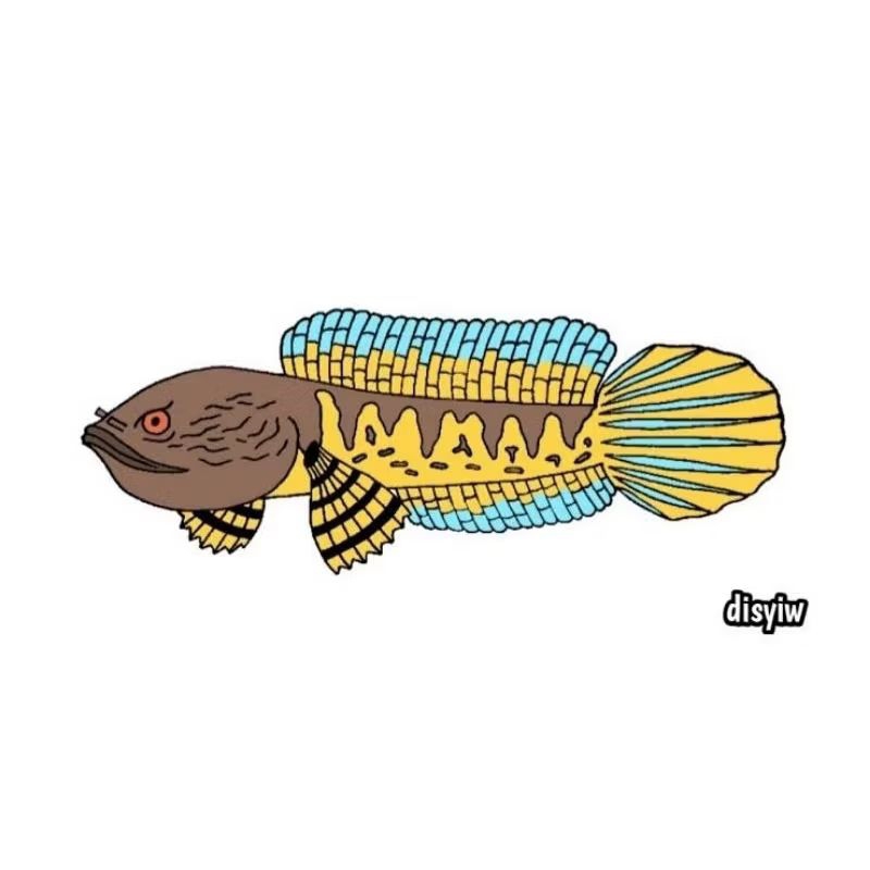 Sticker Channa Auranti progress 7-8cm