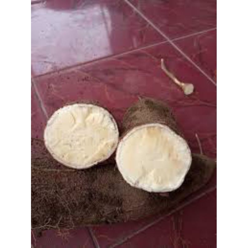 

singkong mentega