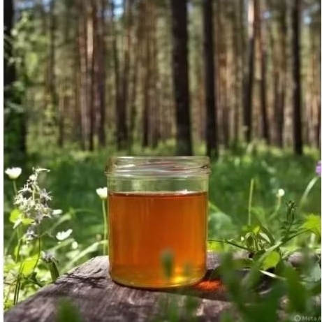 

MADU APIS DORSATA( TAWON GONG) || MADU MURNI || MADU HUTAN MURNI || MADU HUTAN KALIMANTAN || MADU ORIGINAL
