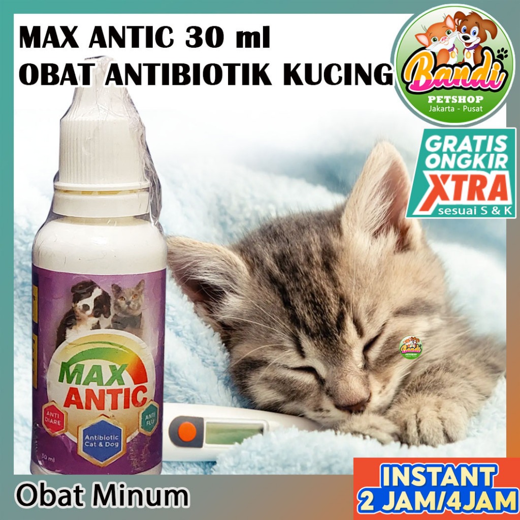 Obat Antibiotik kucing untuk diare dan flu saluran pernapasan kucing antibiotic Max Antic 30 ml