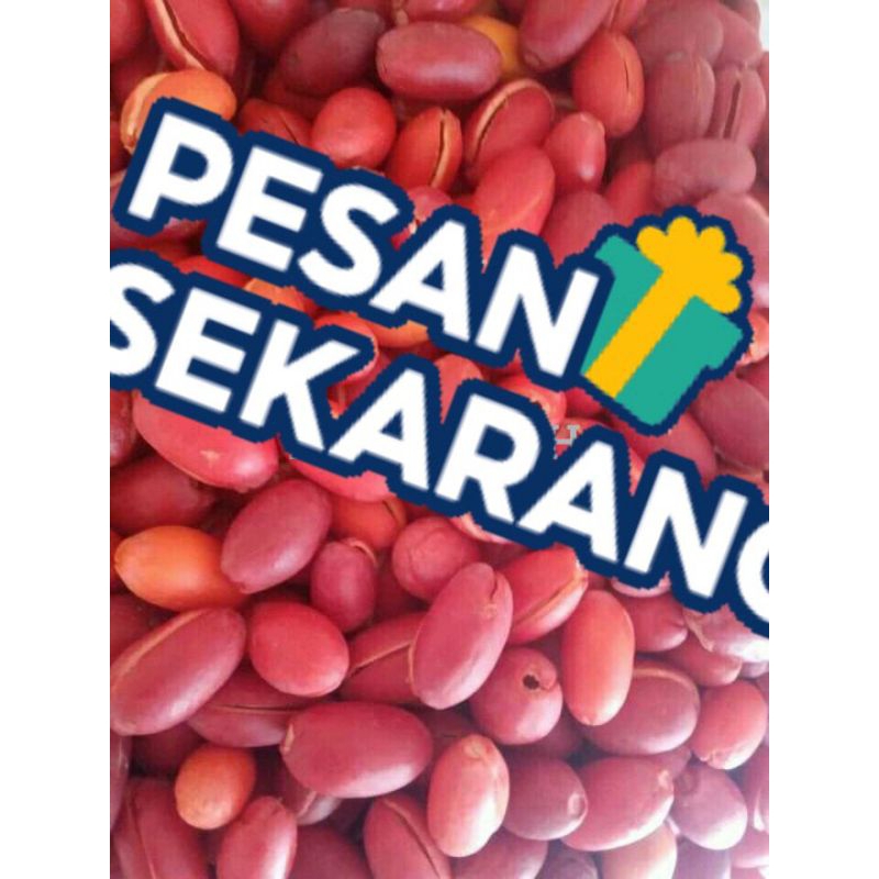 

1 Kg Kulit Melinjo / Tangkil MURMER | Asli Banten | Kualitas Terbaik JOOSSSS BRAYY