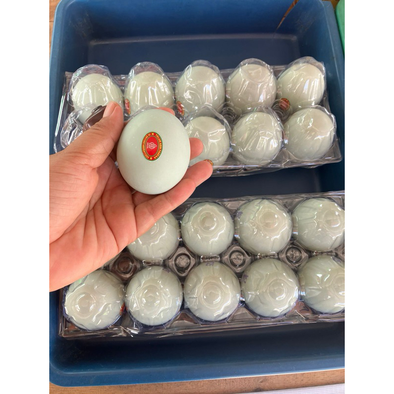 

Telur asin enak masir gurih /krat isi 10