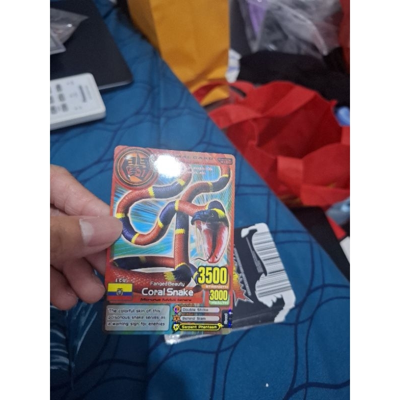 Animal Kaiser Plus Animal Card Coral Snake