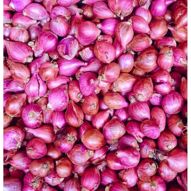 

bawang merah