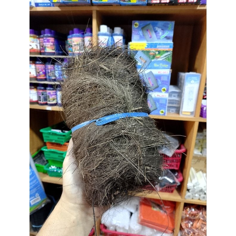 IJUK FILTER AIR SUMUR // 1 GULUNG KECIL // AQUARIUM