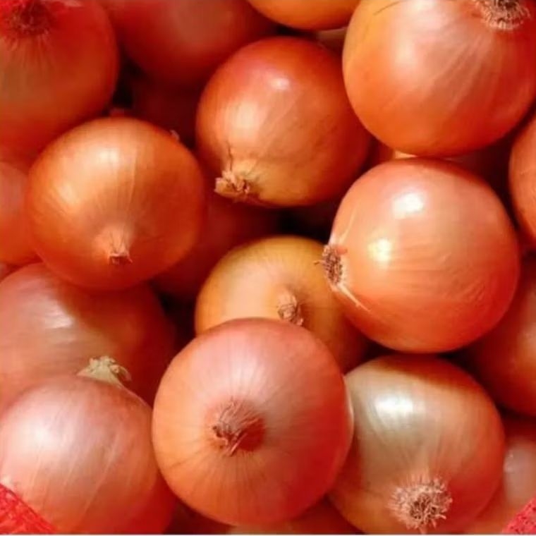 

Bawang Bombay 250 gram