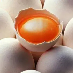 

telor ayam kampung omega/1 biji