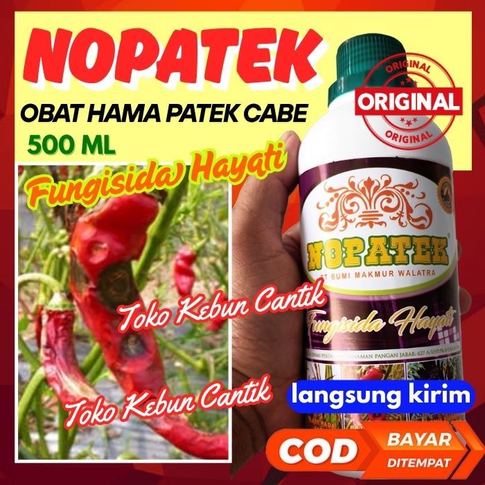 Nopatek Fungisida Hayati Obat Mengatasi Penyakit Patek Tanaman Buah Cabai Cabe