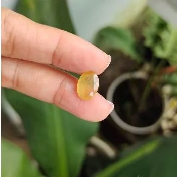 Natural Yellow Sapphire - batu permata yakut kuning oval cut (A)