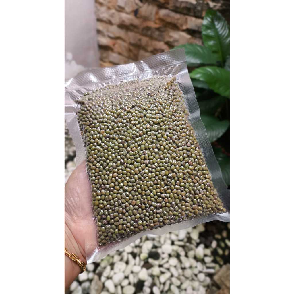 

Kacang Hijau 250gr kemasan vakum
