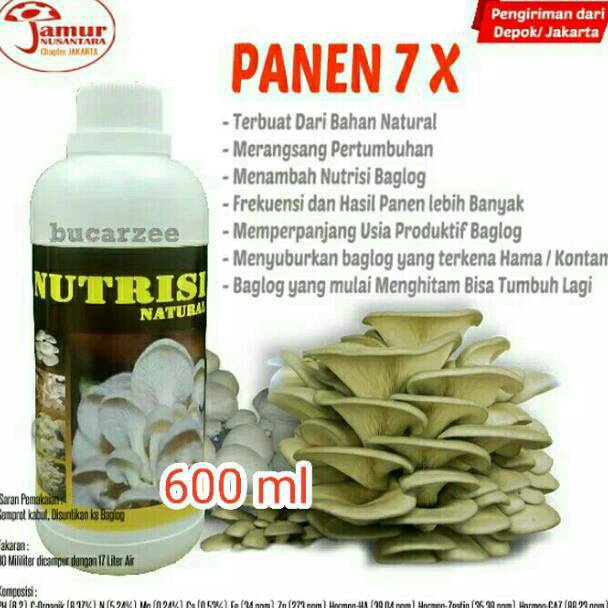 KODE G36G Panen 7 Kali Nutrisi Growbox Nutrisi Jamur Nutrisi Natural 6 ml