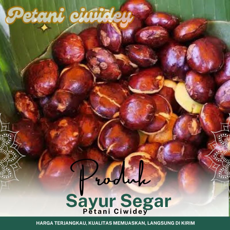 

PROMO Sayur jengkol 500 Gram siap masak dengan aroma khasnya