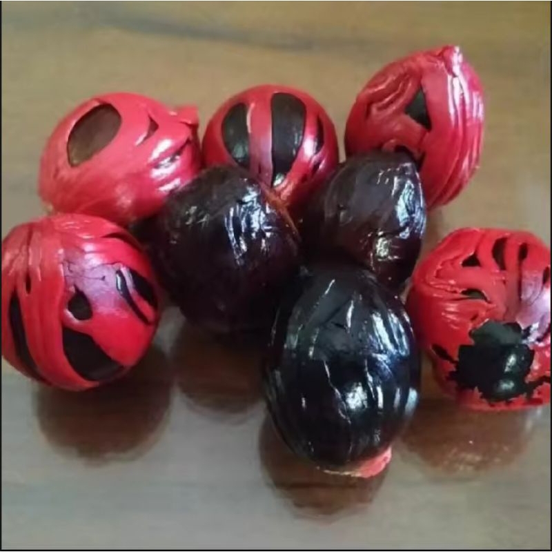 biji benih buah pala 1kg isis -+100 buah biji pala matang khusus bibit harga murah