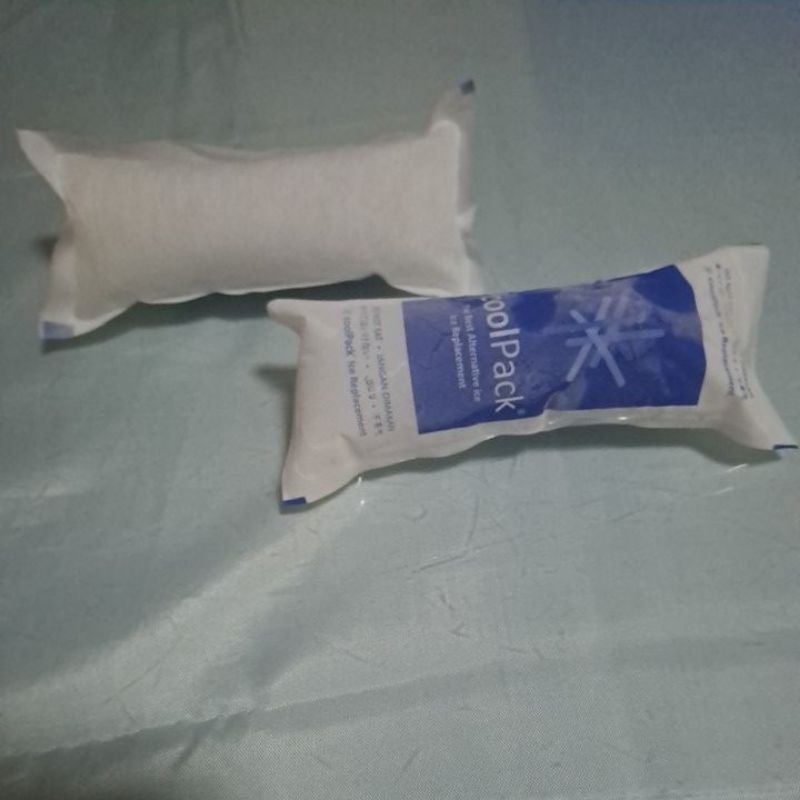 

Ice Pack untuk Pengiriman Barang