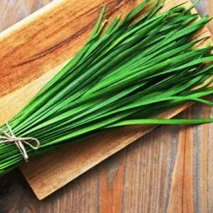 

daun kucay