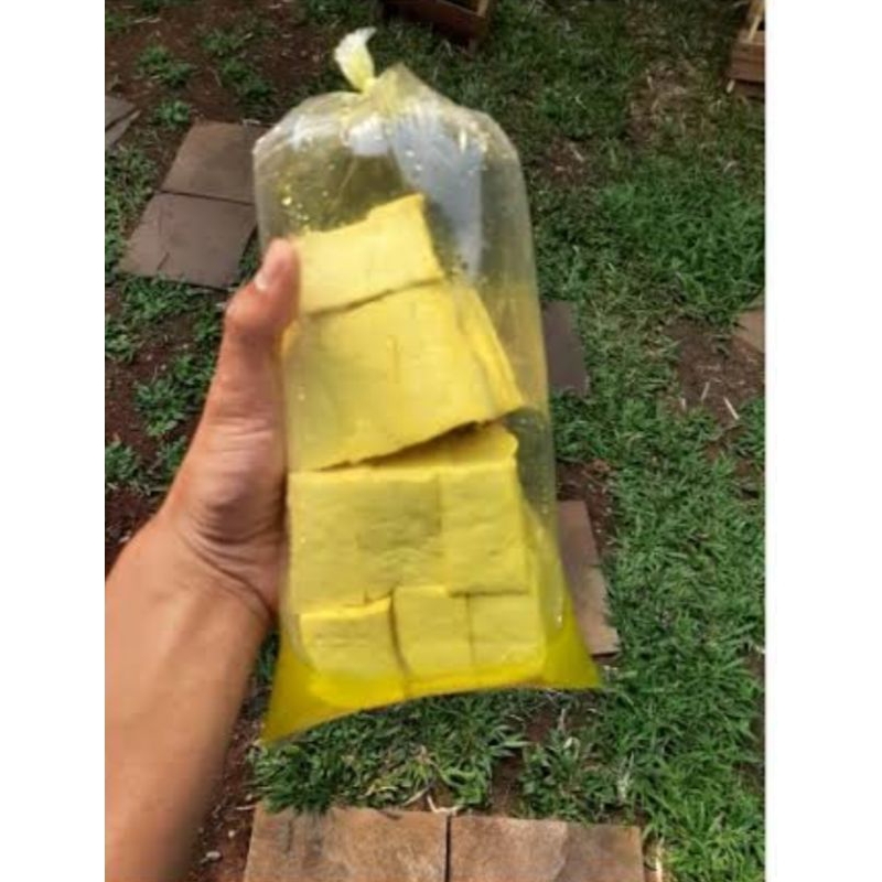 

TAHU KUNING BUNGKUS BESAR (1 Bks)