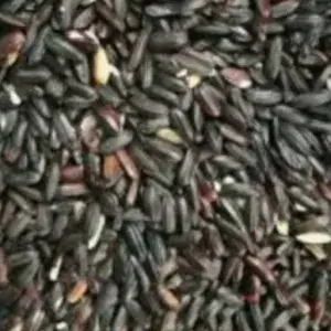 

Ketan item/500g