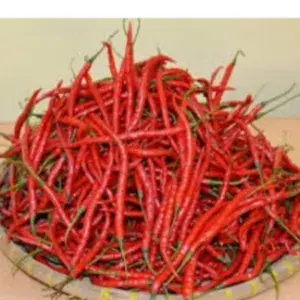 

cabe keriting merah 1kg
