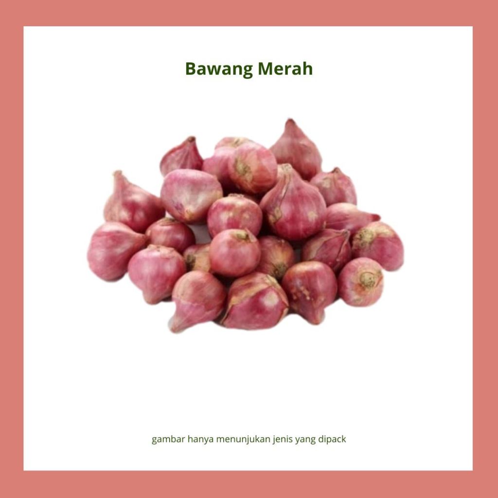 

bawang merah segar bawang merah kulit