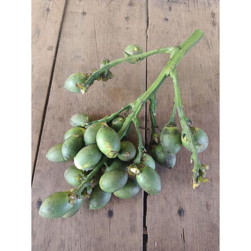 

buah pinang muda untuk pria perkasa/jamu tradisional isi 20 biji