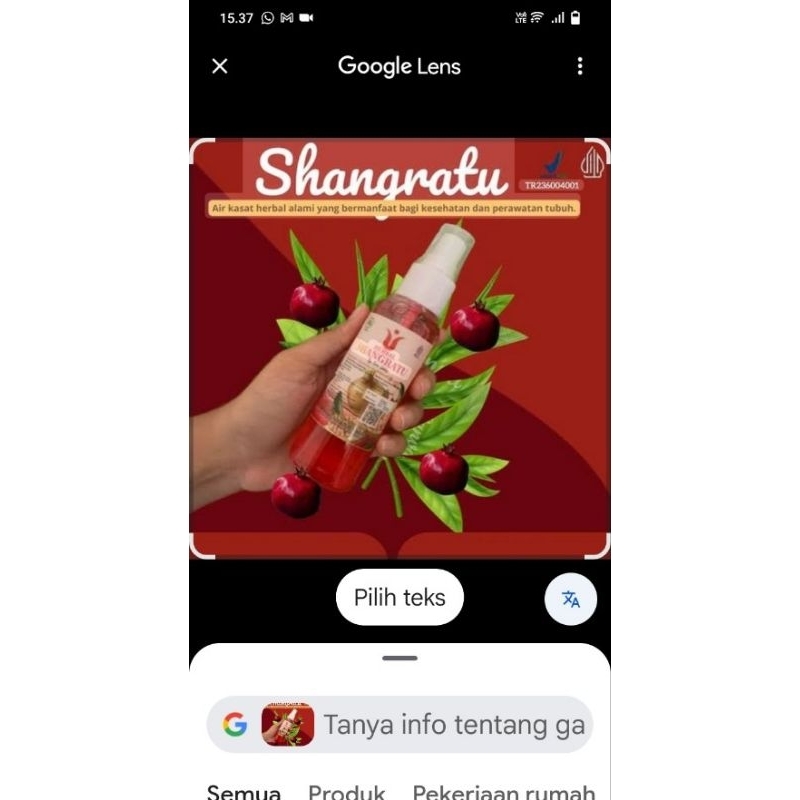 

shang ratu (100 botol)