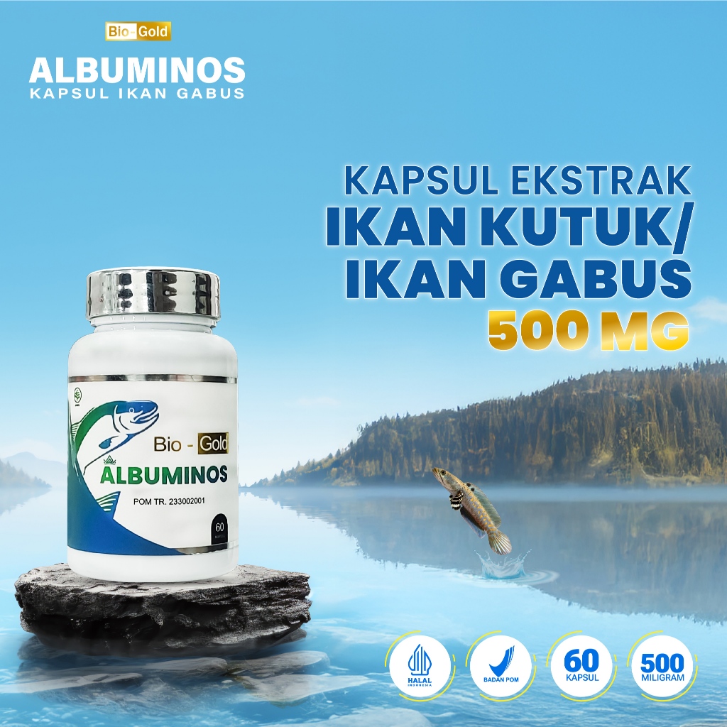 Albuminos Kapsul Ekstrak Ikan Gabus Kutuk 500mg Obat Untuk Penyembuhan Luka Operasi Patah Tulang
