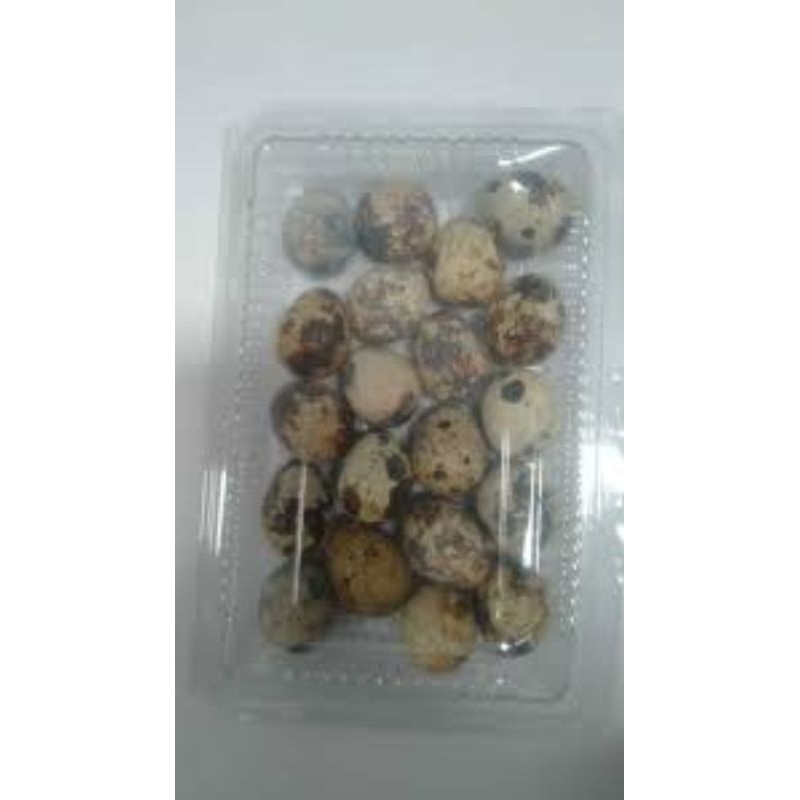 

telur puyuh isi 15-18 butir