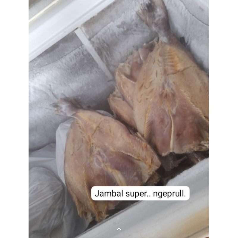 

Jambal Roti Super Mentega (ngeprul)per kilogram