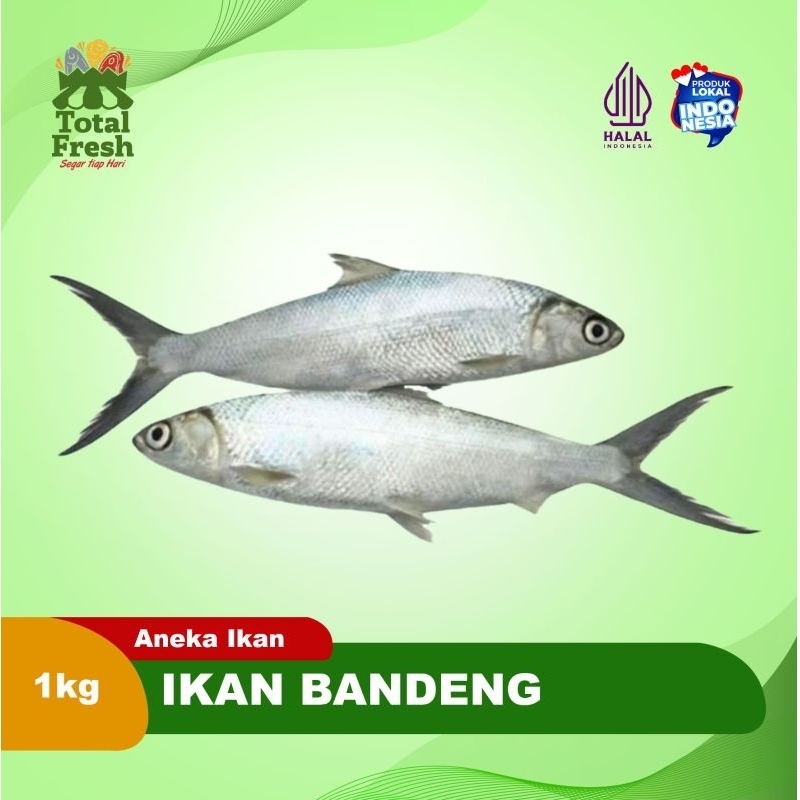 

Ikan Bandeng [900 Gram - 1000 Gram]