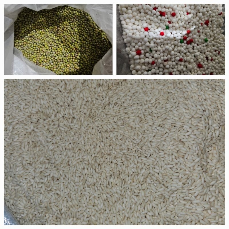 

SAGU MUTIARA / KC.HIJAU / PULUT PUTIH