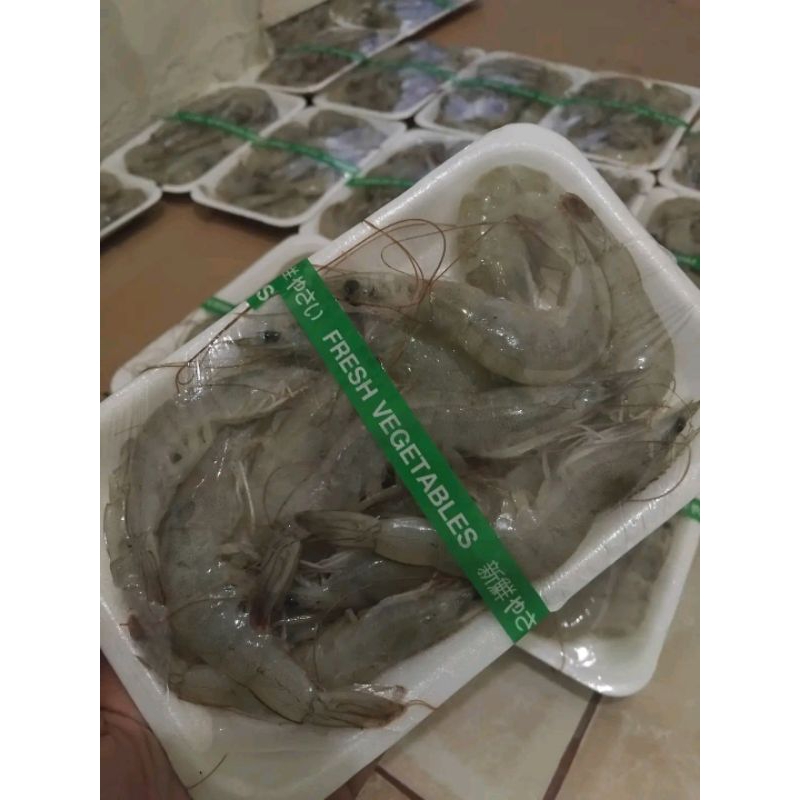 

udang 250gr segar seafood