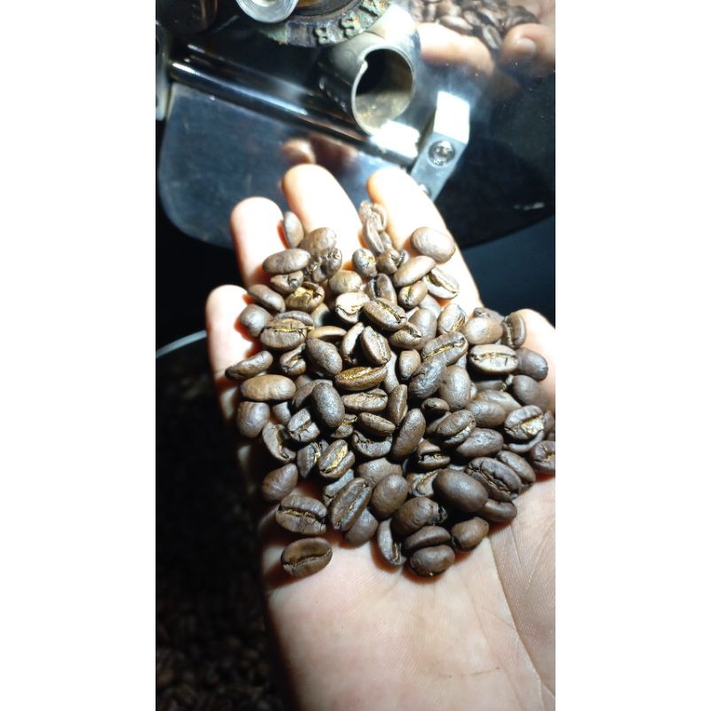 

Robusta Sidikalang