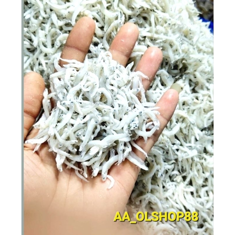 

IKAN TERI TOGE SUPER UKURAN 500 GR