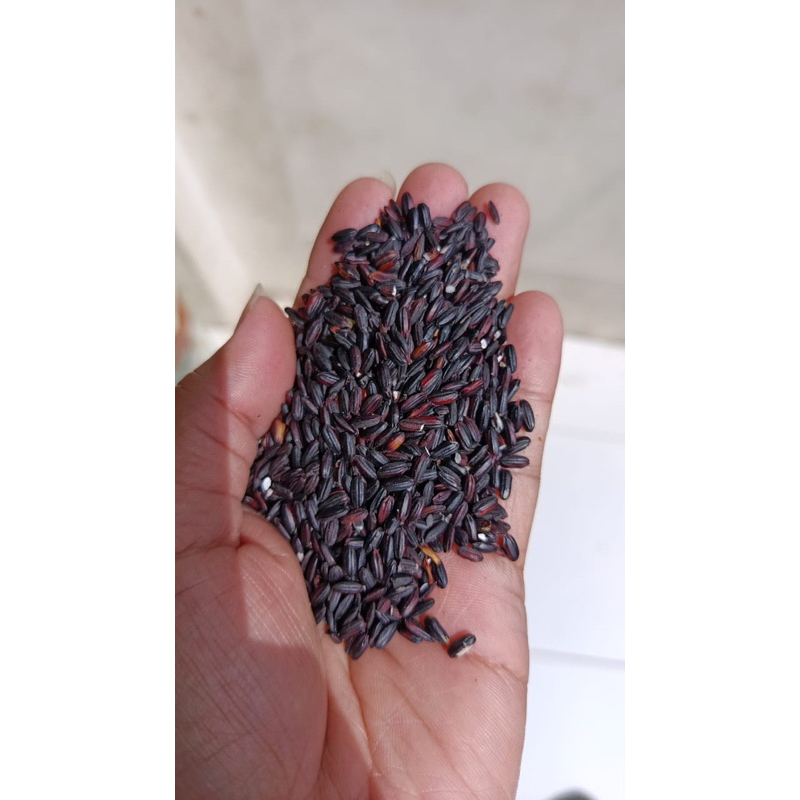 

Beras Ketan Hitam Premium Super