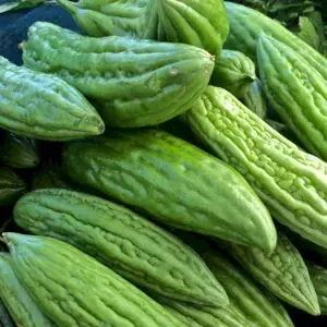 

pare hijau segar 500g