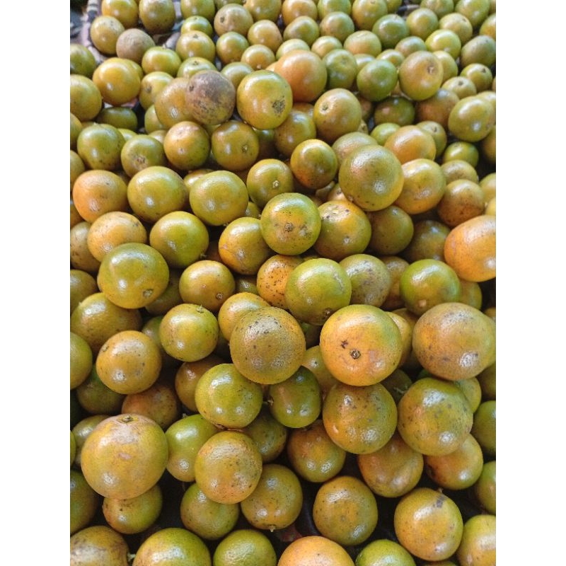 

JERUK SONKIT 5-10Kg MURAH PEKING KAYU