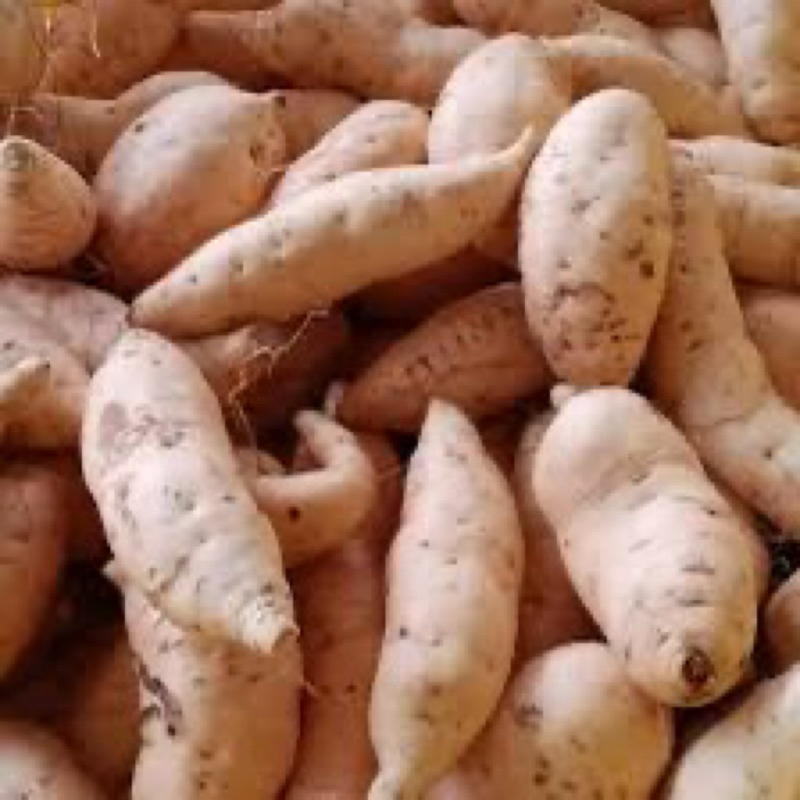 

UBI MADU CILEMBU 1 kg