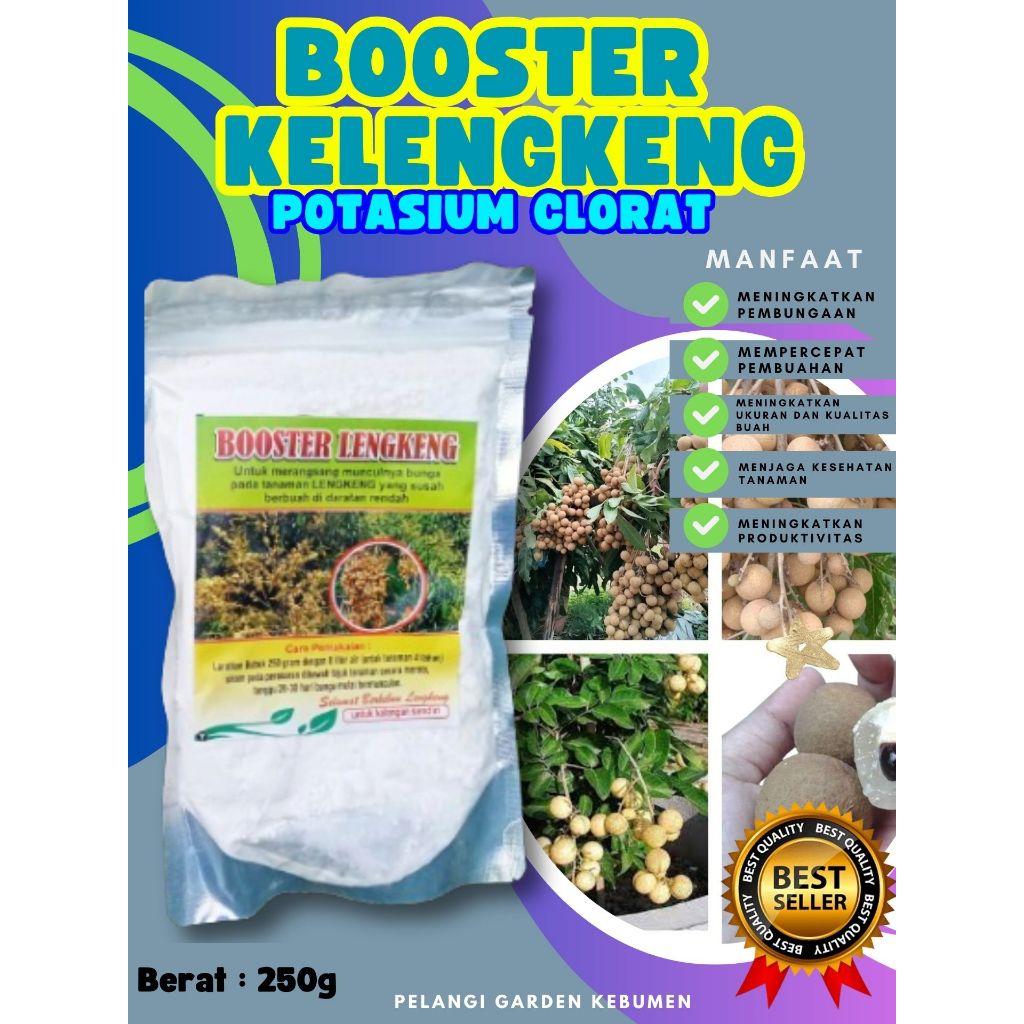 TERLARIS  Booster Kelengkeng Murni 1Kg, Booster Kelengkeng Merah, Booster Kelengkeng Matalada Berbua