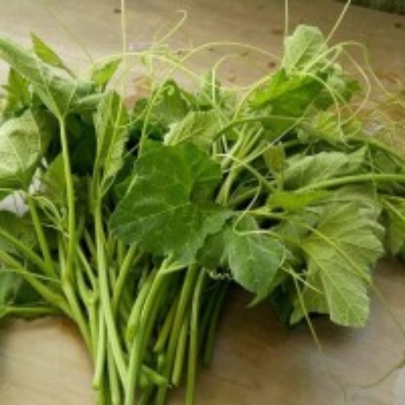 

JYOTI DAUN PUCUK LABU 1 KG / IKAT