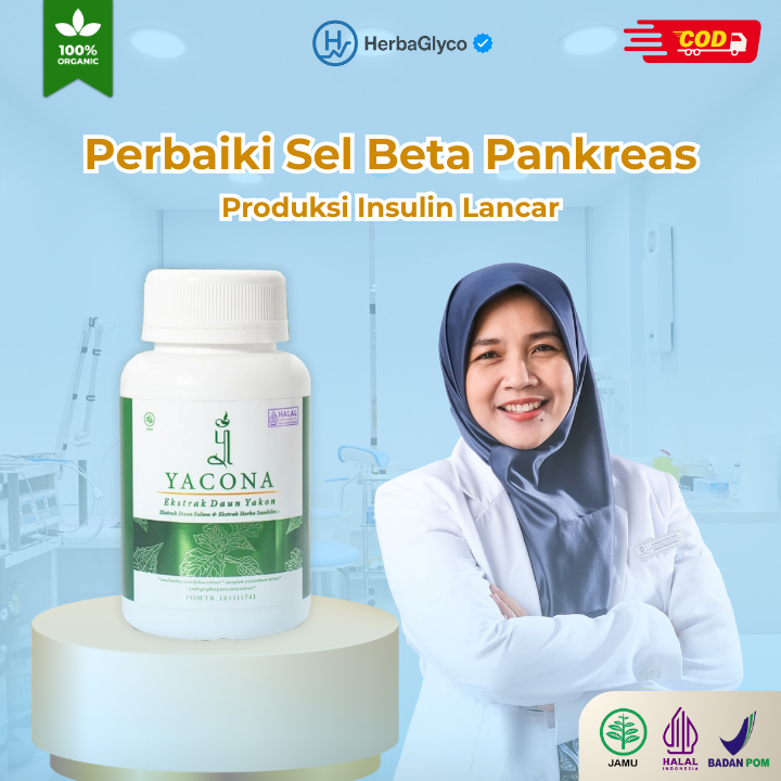 Yacona – Obat Herbal Sehat Herbal untuk Diabetes & Kesehatan Pankreas