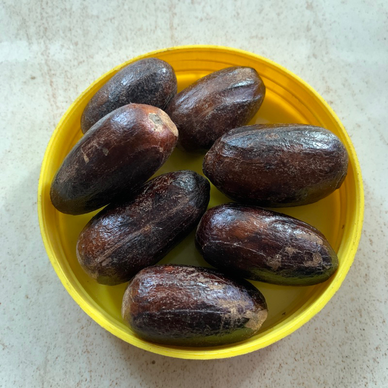 

Pala Utuh Kering Rempahlu - 100gr | Rempah Asli Lumajang, Aroma Kuat dan Tahan Lama