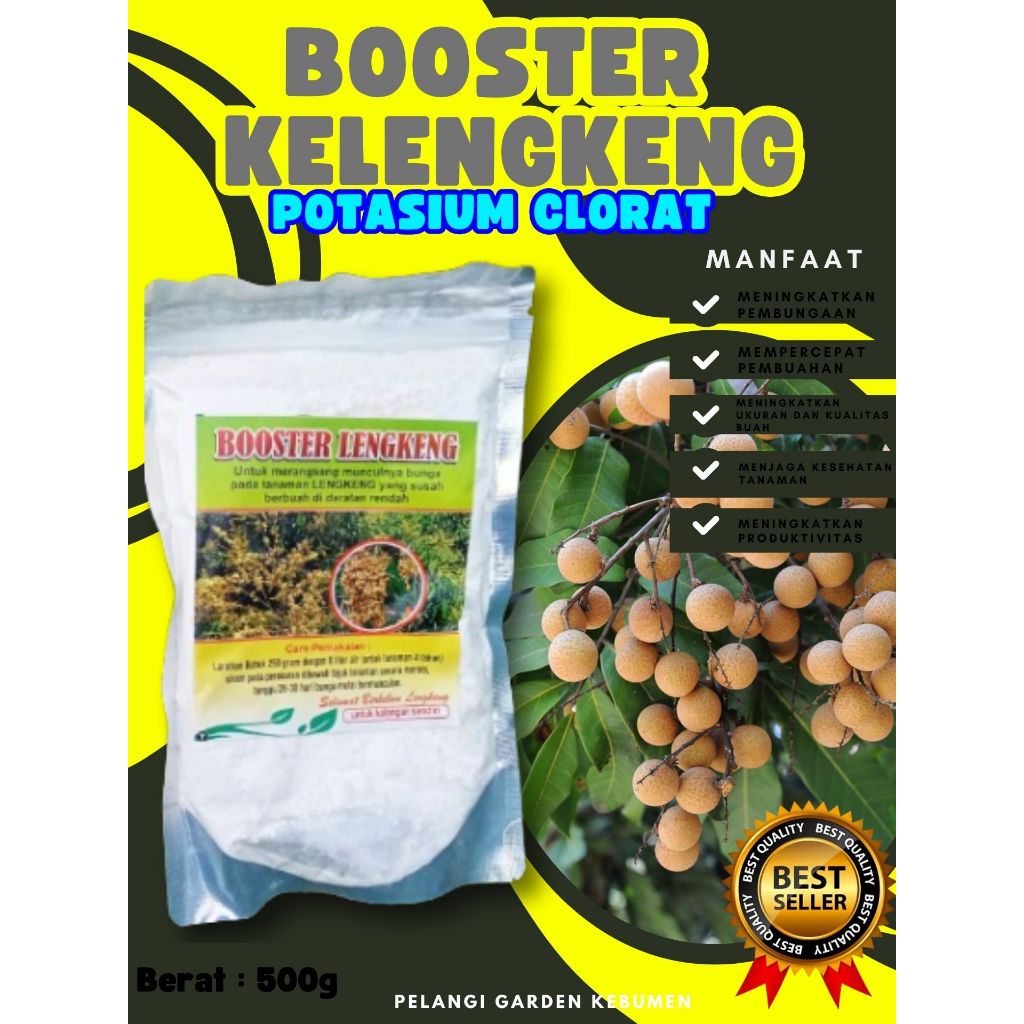 DIJAMIN ASLI  Booster Kelengkeng Puangphet, Booster Kelengkeng Pingpong Cangkok, Booster Kelengkeng 
