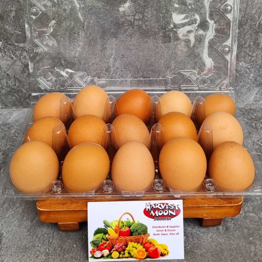 

HarvestMoon Telur Ayam Negri 15 Butir
