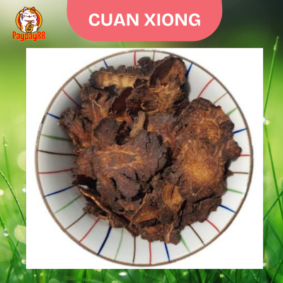 

CUAN XIONG / SICHUAN LOVAGE / CUAN KIUNG FRESH ORIGINAL 500 GRAM