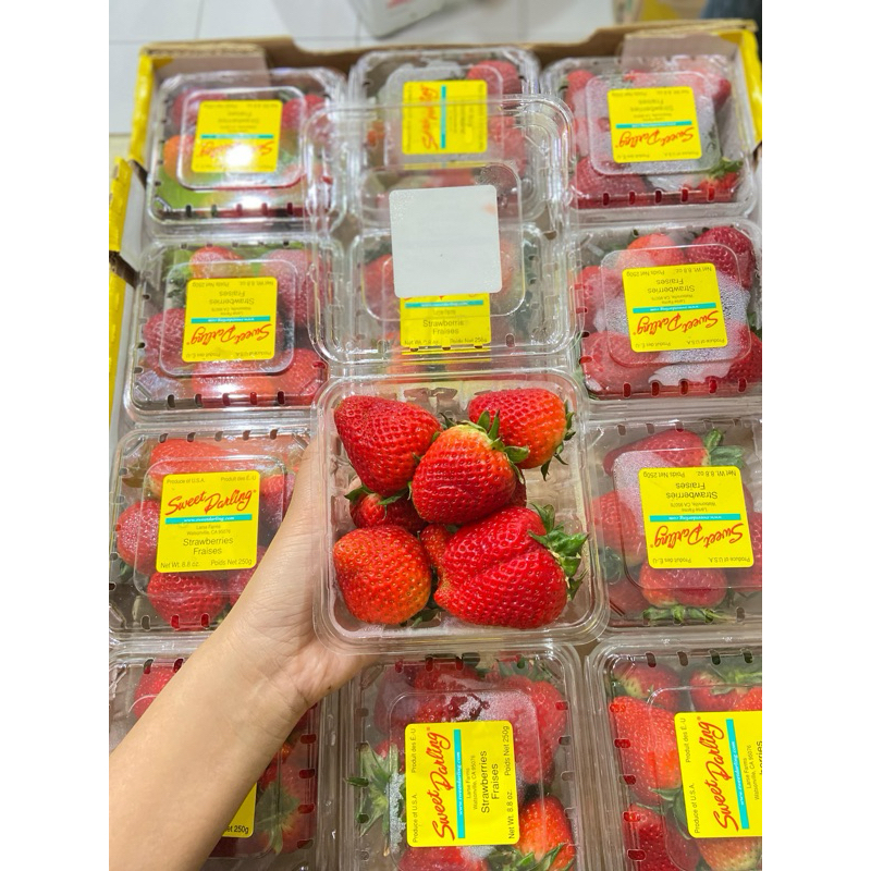 

korean impor USA premium buah strawberry import premium import asam manis segar jepang korean strawberries
